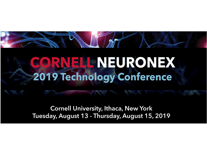 Cornell Neuronex 2019 3w