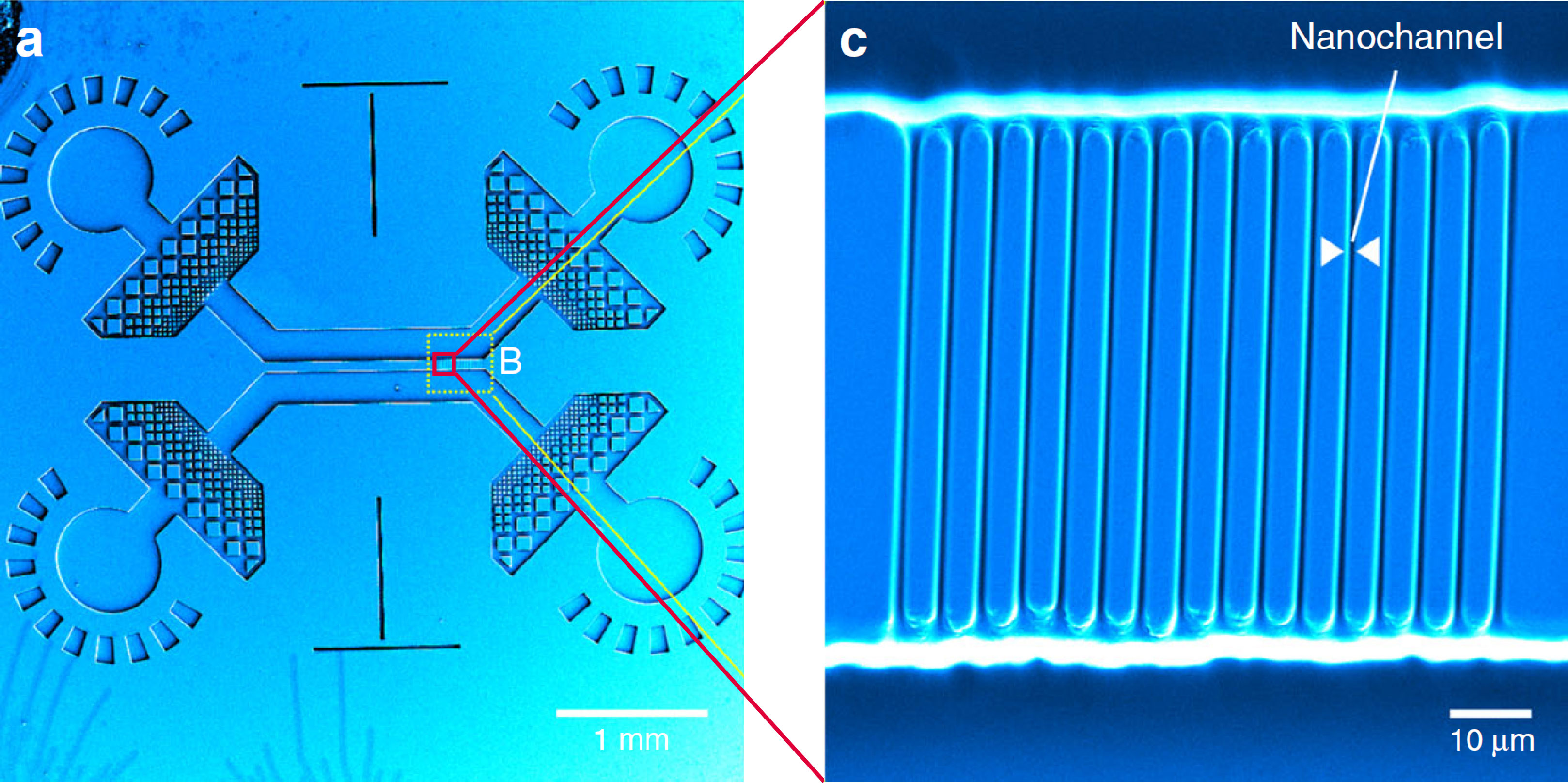 Micro Nanostructure