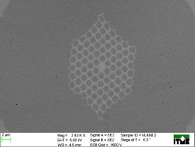 SEM image of PCF