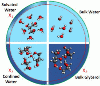 Hydrogen-bonding networks