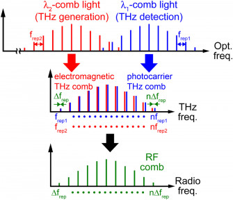 dual THz comb spectroscopy