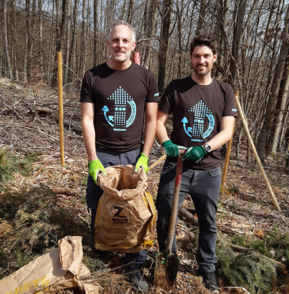 Menlo tree planting