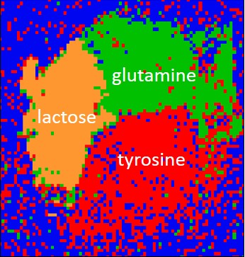 MENLO_SYSTEMS_Terahertz_Cluster map_Biomolekuele