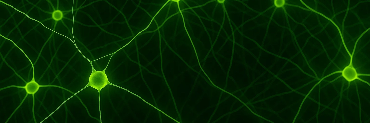 Life Sciences &amp; Microscopy